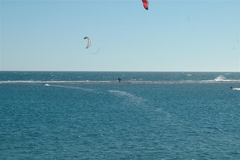 Kitestock