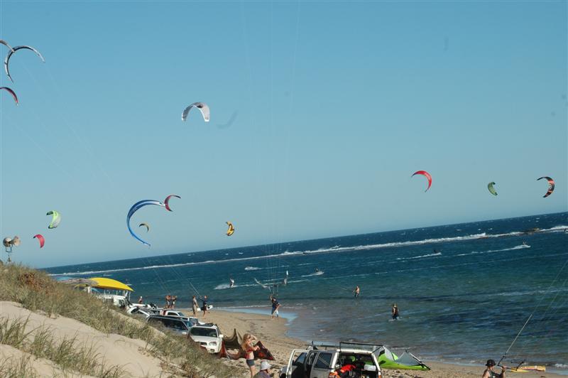 Kitestock