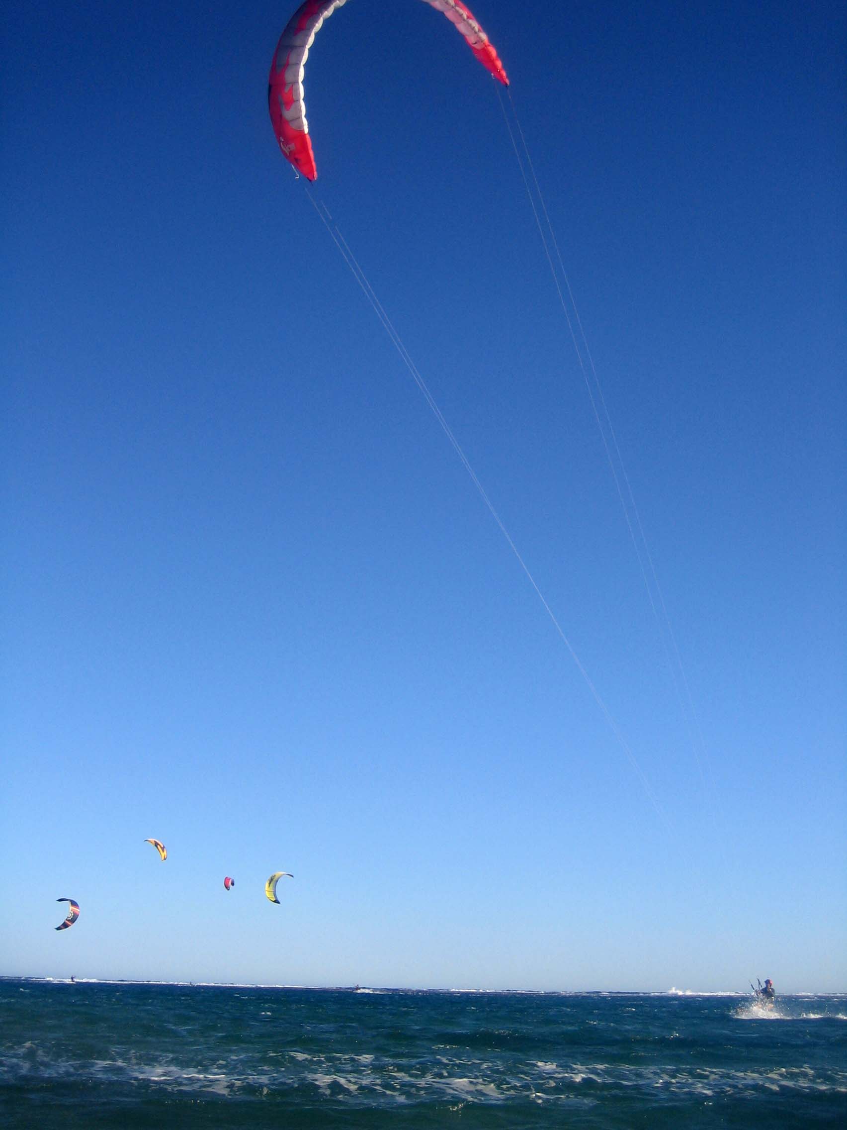 Kitestock