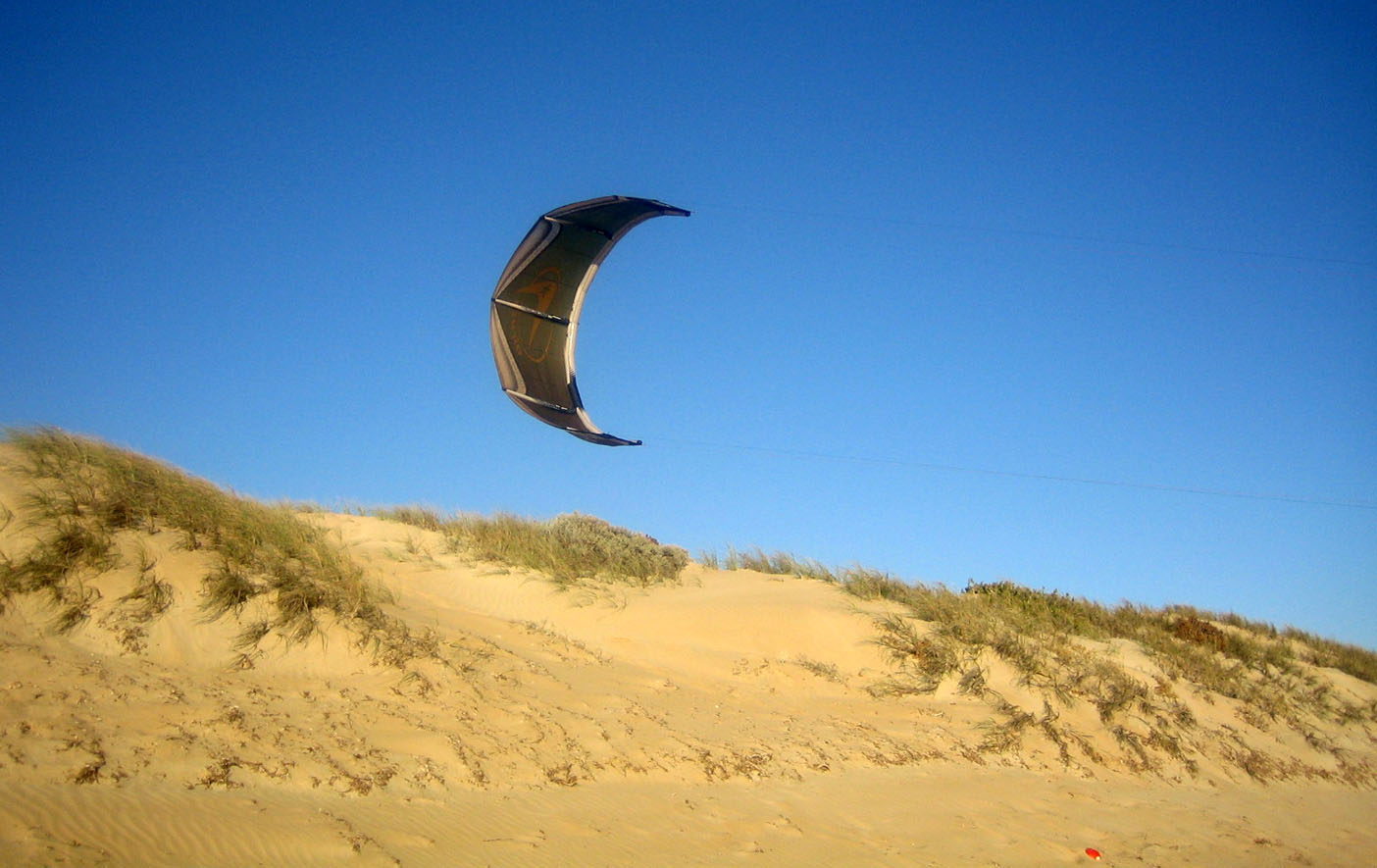 Kitestock