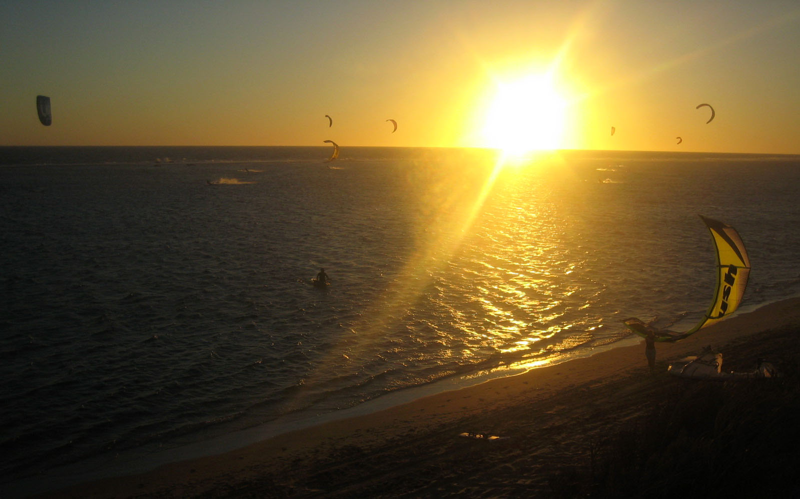 Kitestock