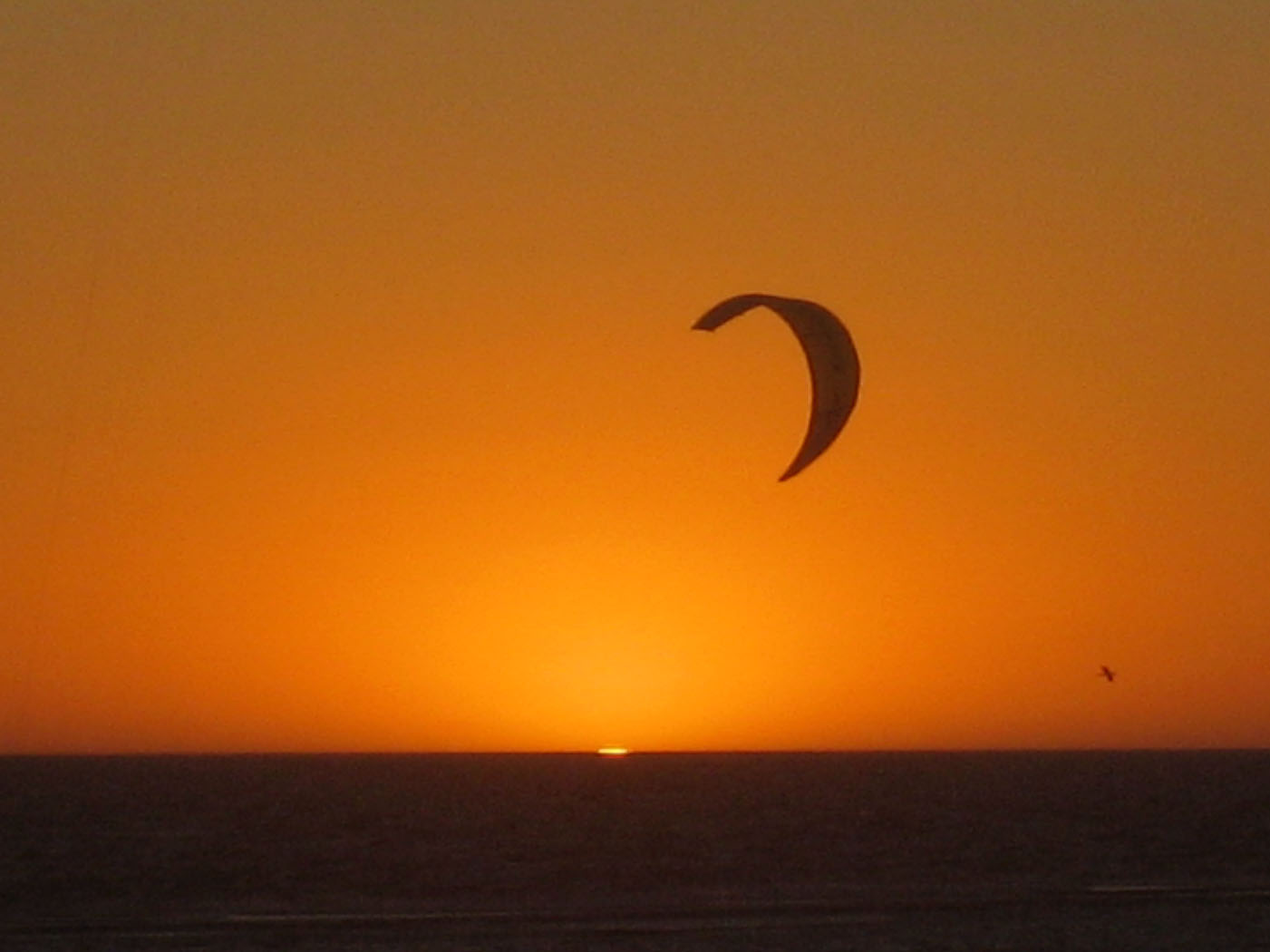 Kitestock