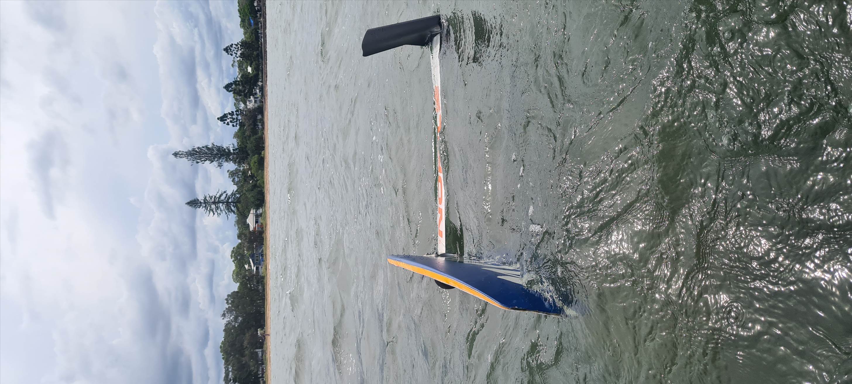 Triton T1 Mono foil