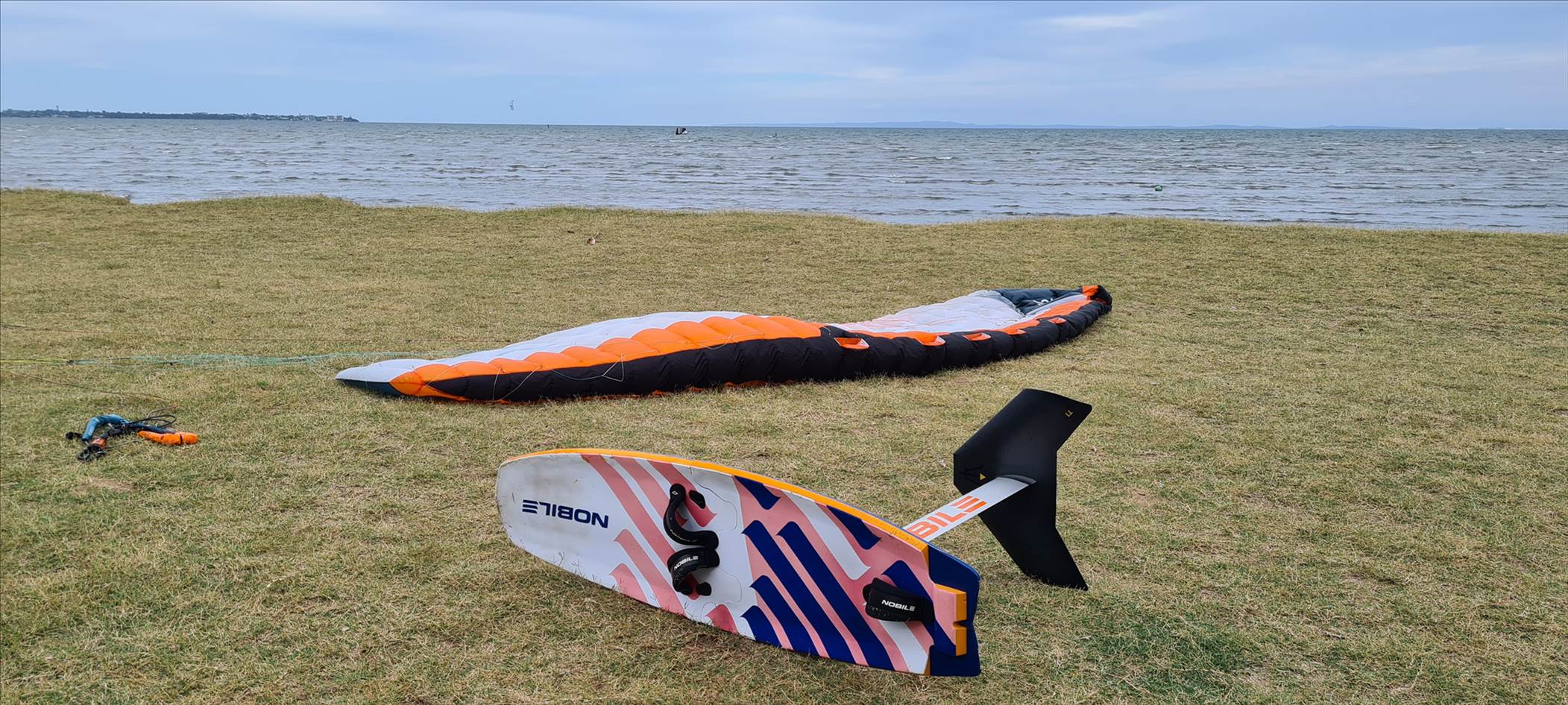 Triton T1 mono wing