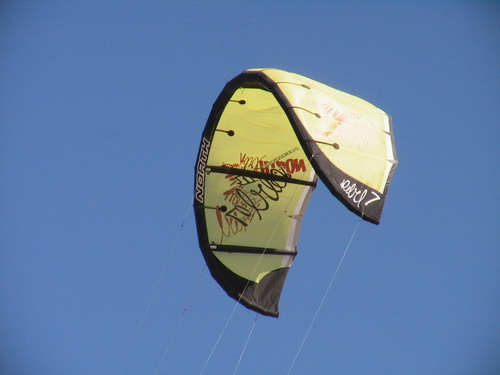 the new north kite