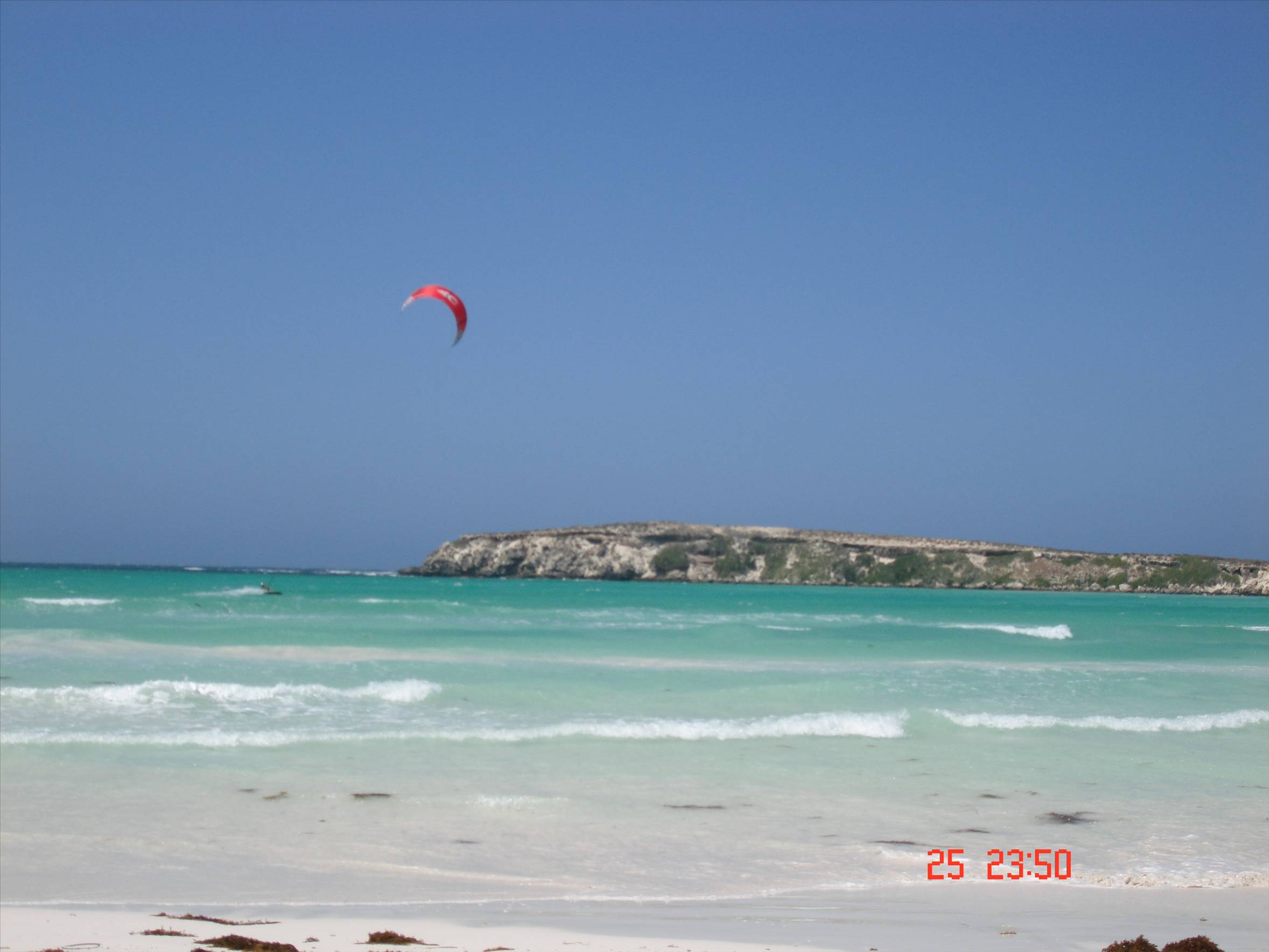 lano wedge kite