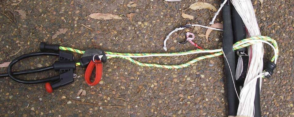Sheathed Spectra Chicken Loop