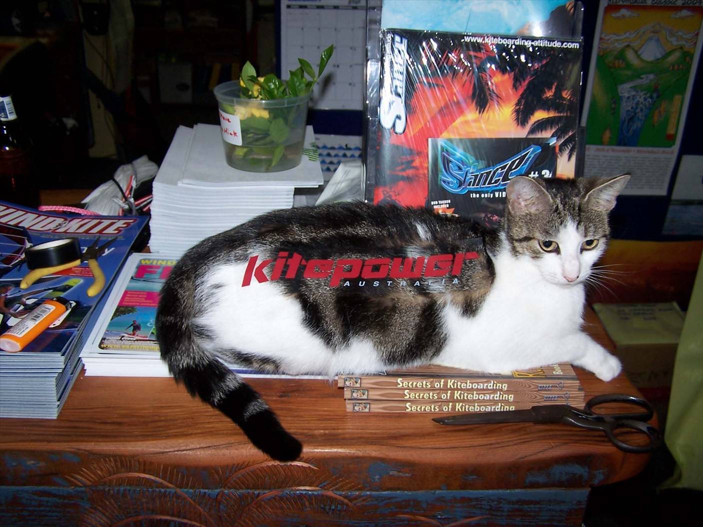 Kitepower Pussy