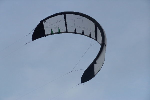 the new Flexifoil  ION 2