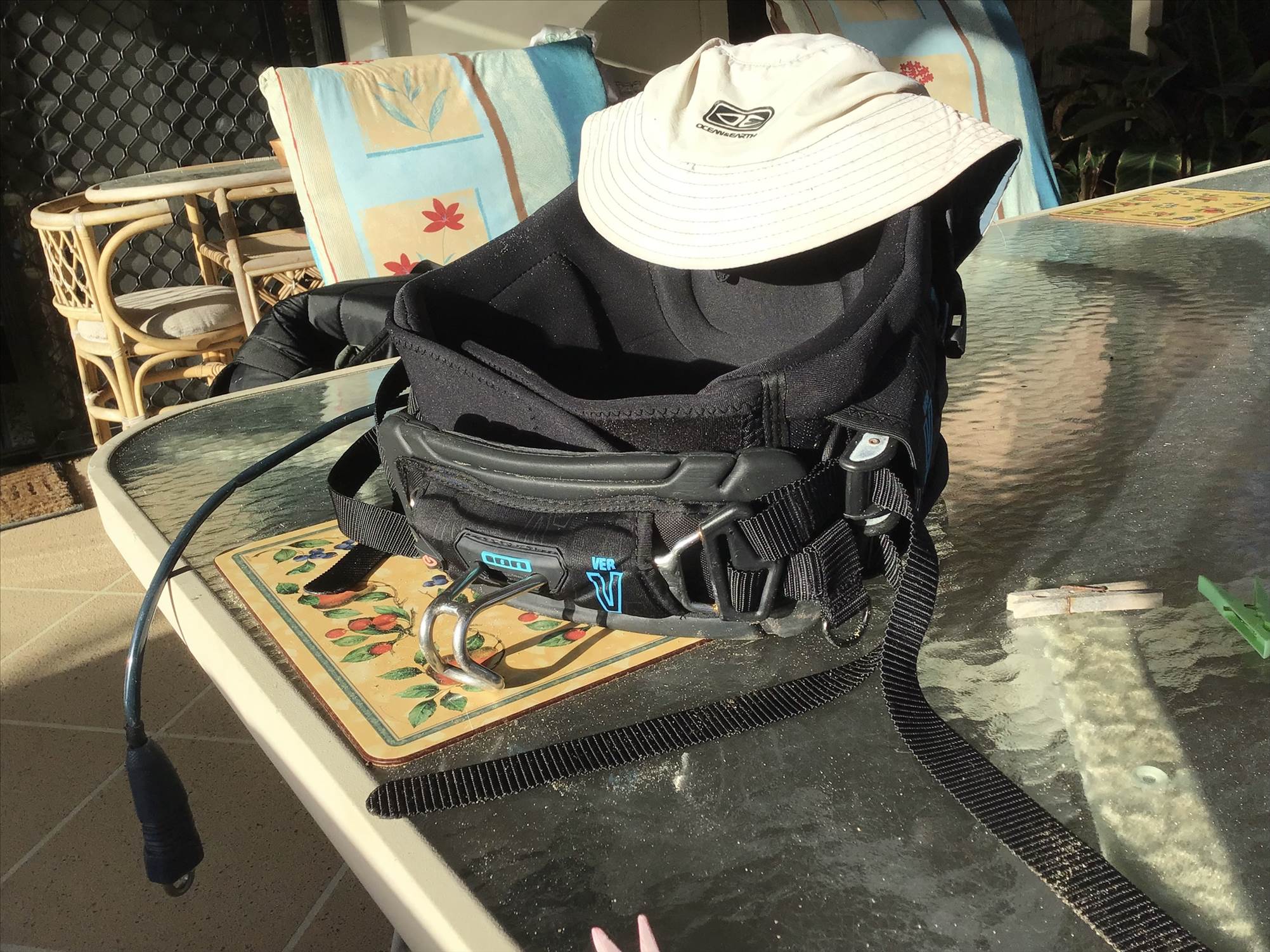 ION Harness found