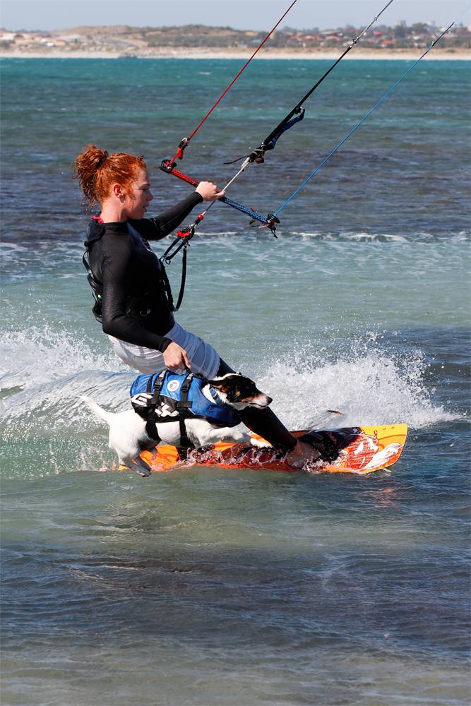 Canine Kite Rescue Service