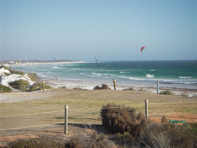 Kitestock