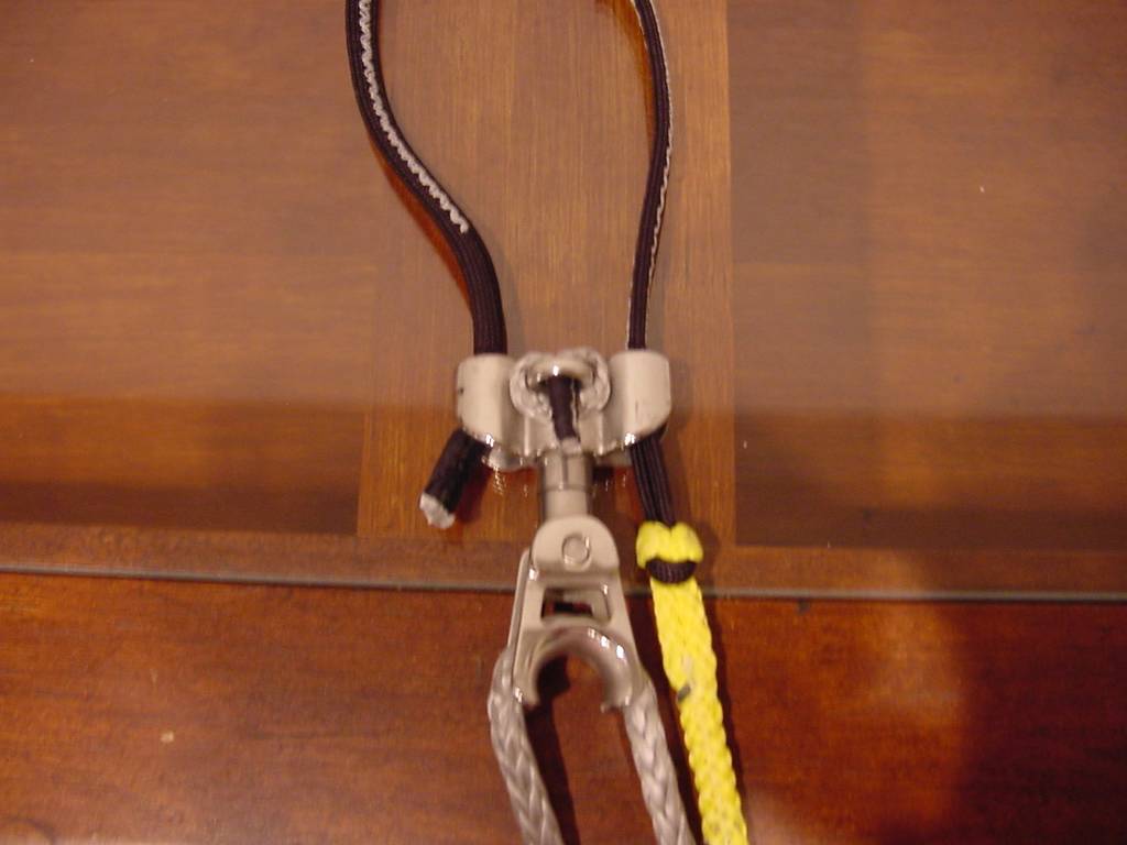 2009 SWIVEL