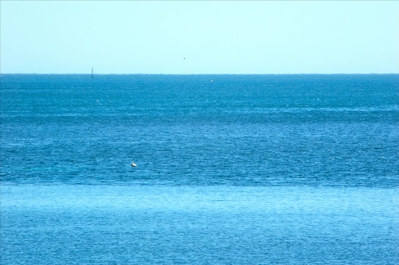 todays seabreeze arriving at safety bay