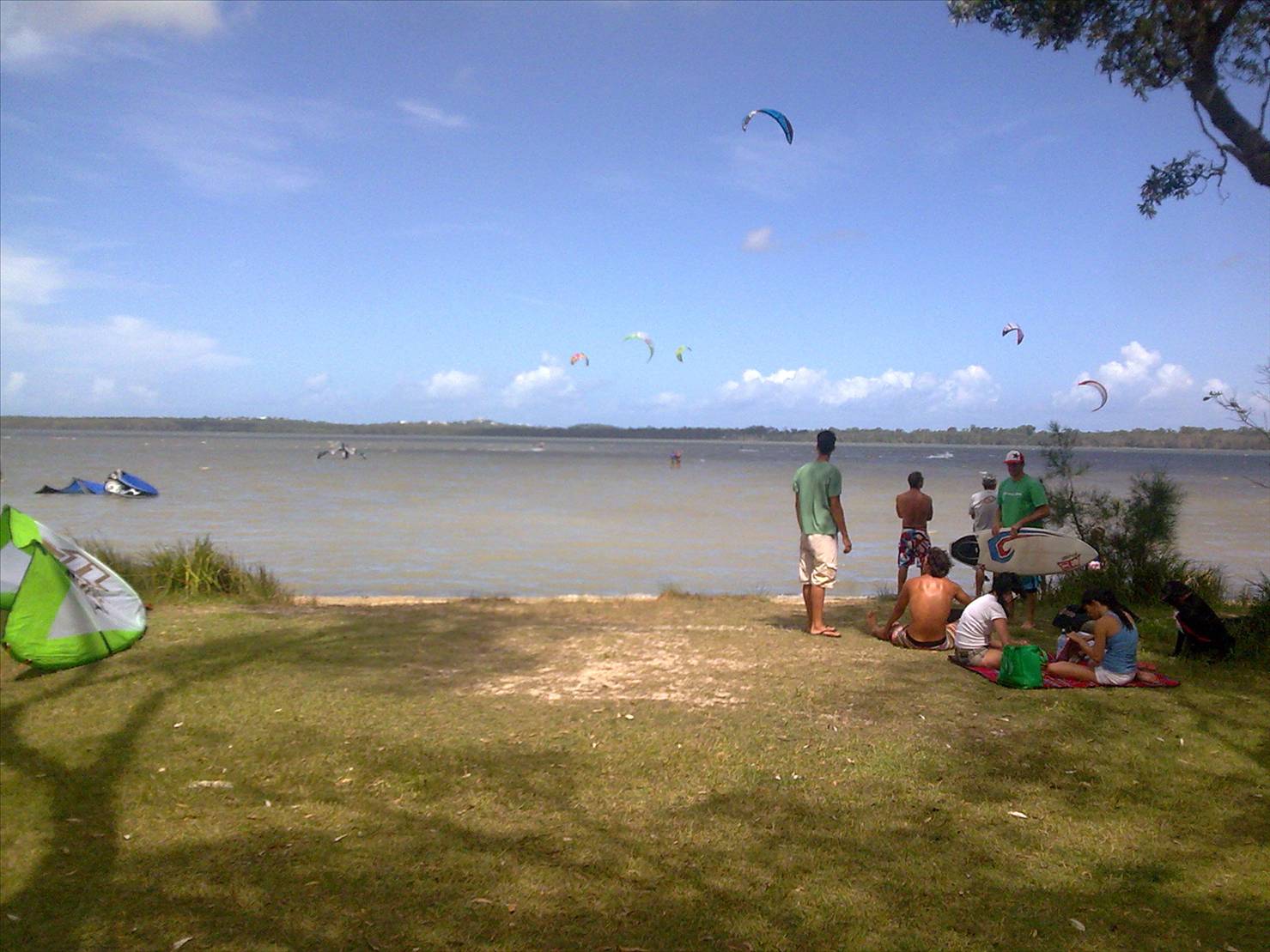 Image005(1)