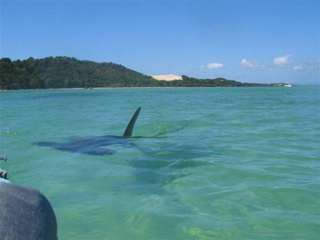 Hammor Head at Moreton Island