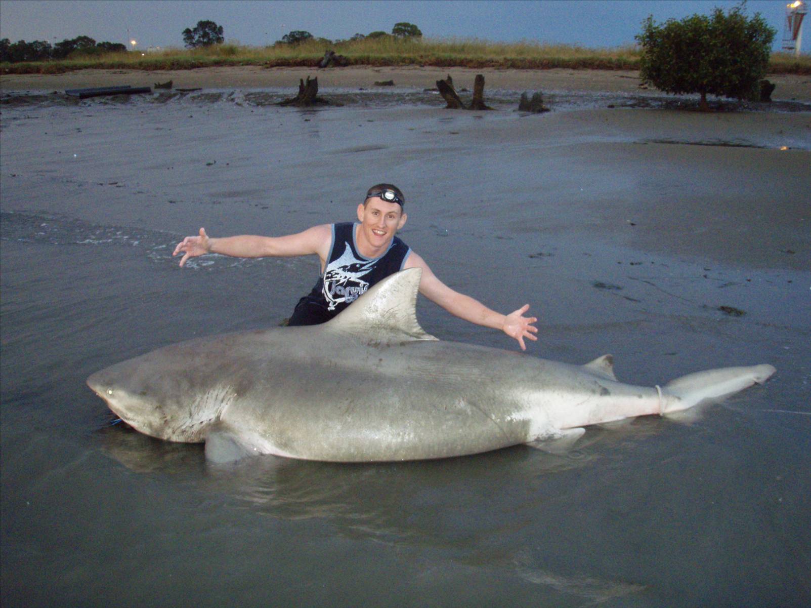 BRC - It was this big.