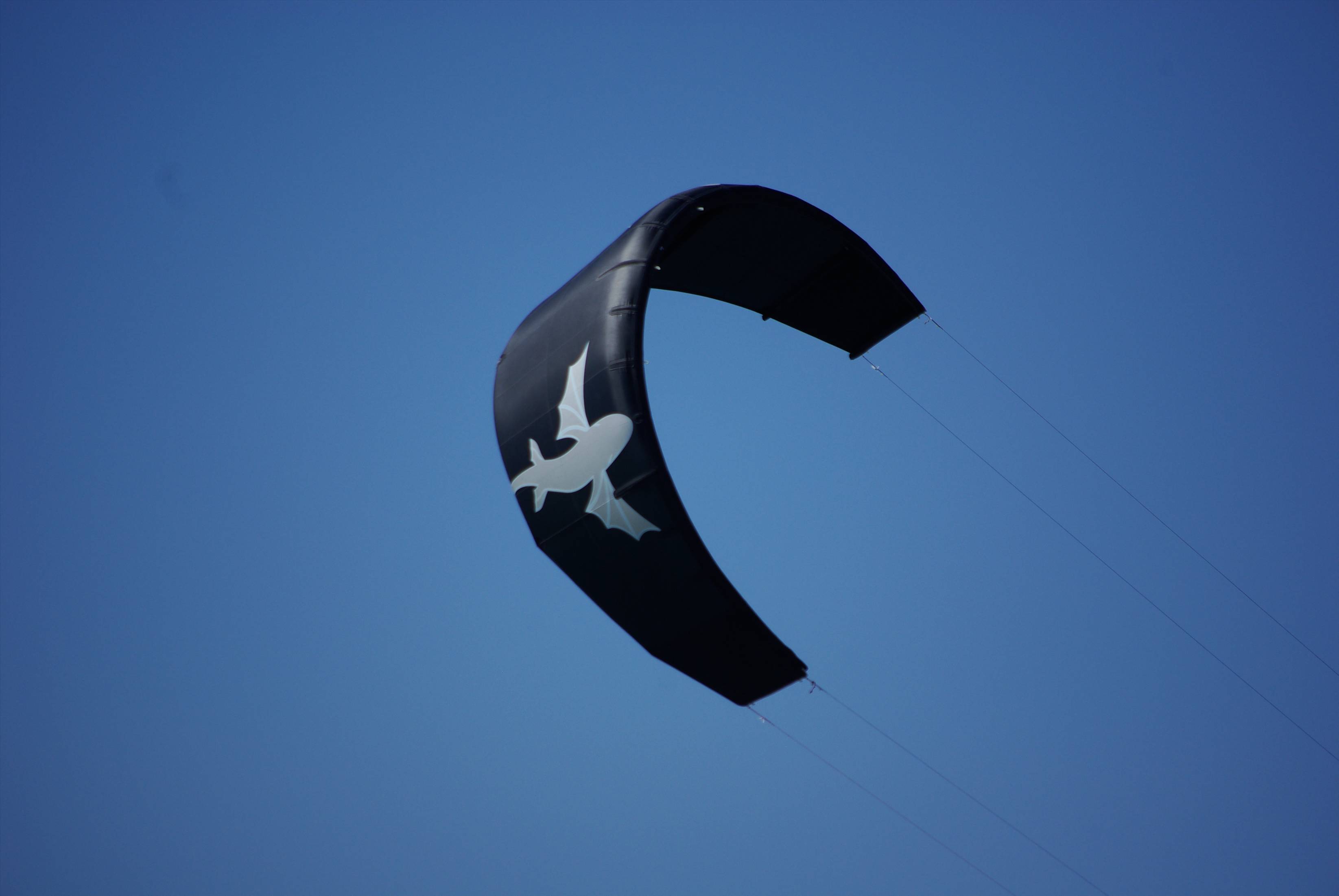 Team C Kite