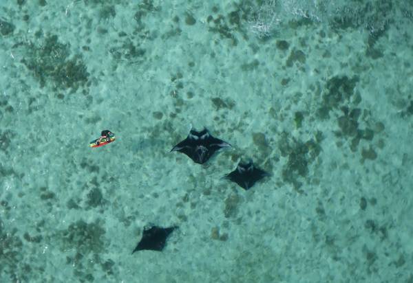 Evan jumping Mantas