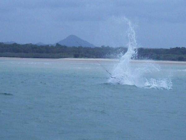 wipeouts