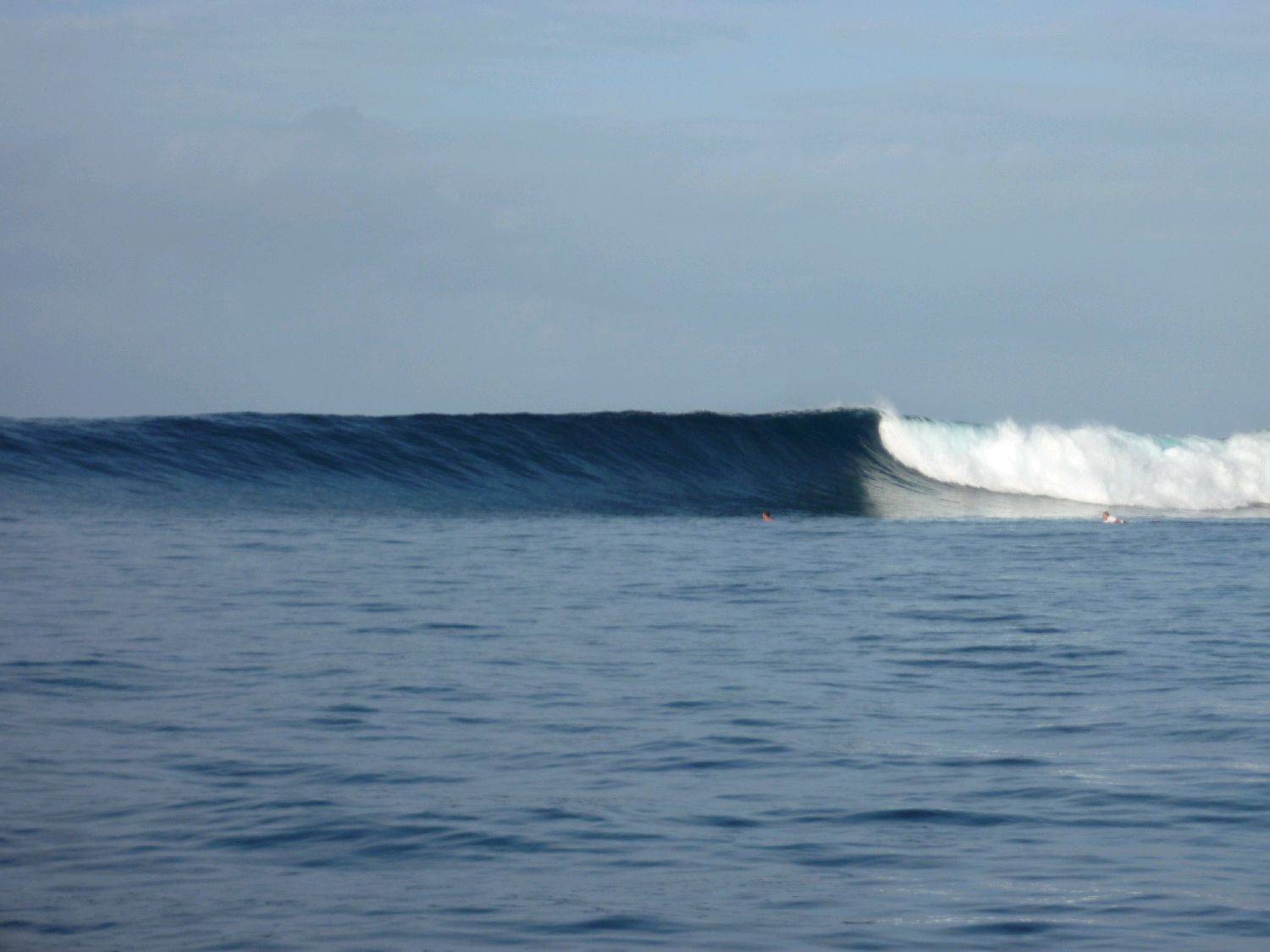 P1000664