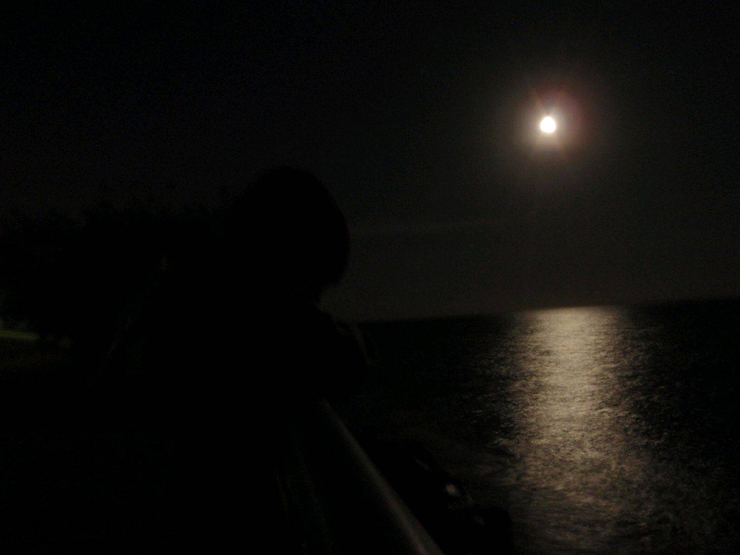 night ally 031