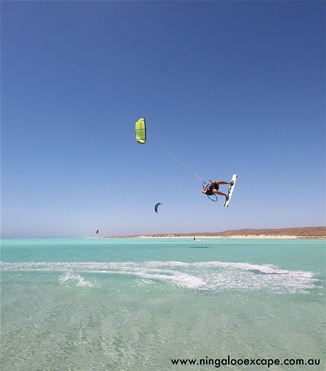 www.ningalooexcape.com.au