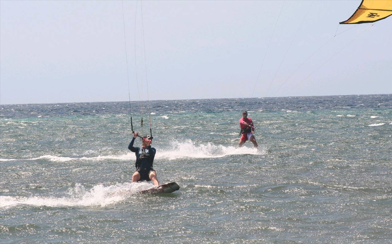 Timor Trade Winds