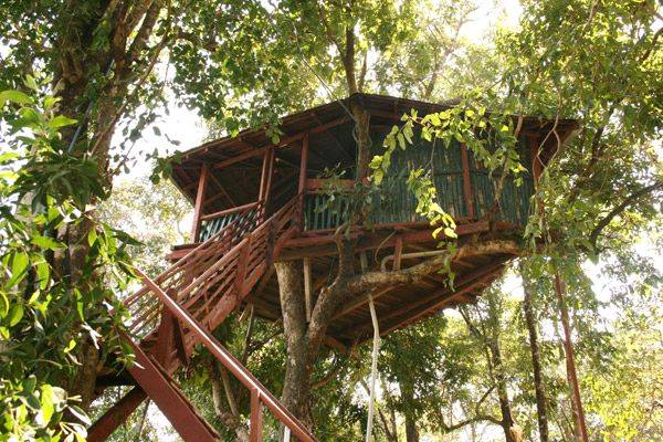 tree-house-[1]
