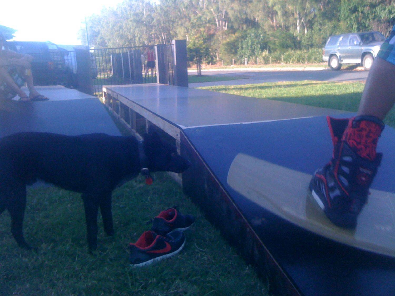 rails in progress!