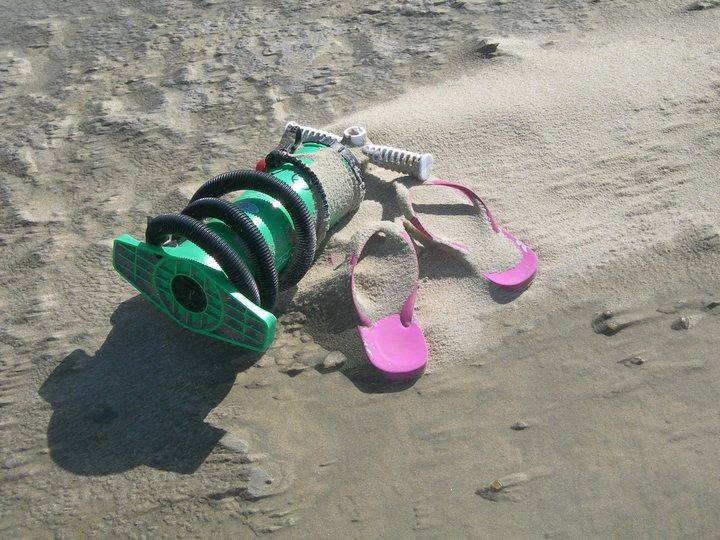 windswept beach