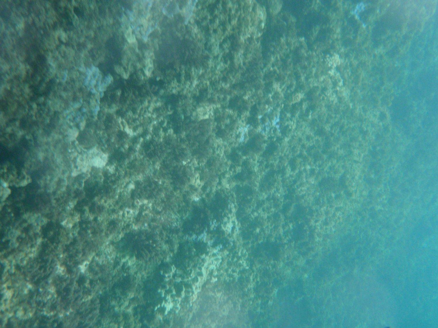 P6230209