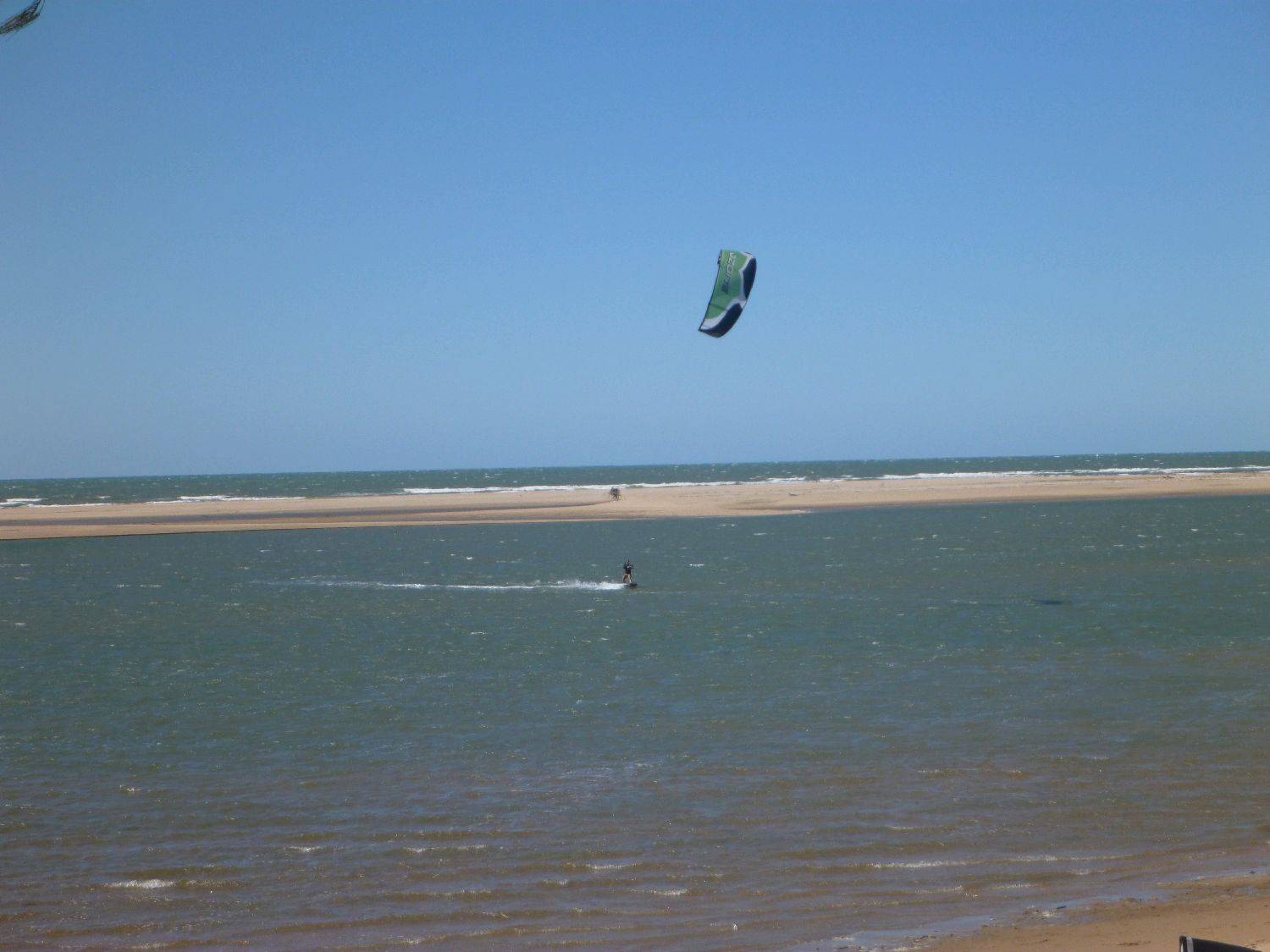 alva 2010 008