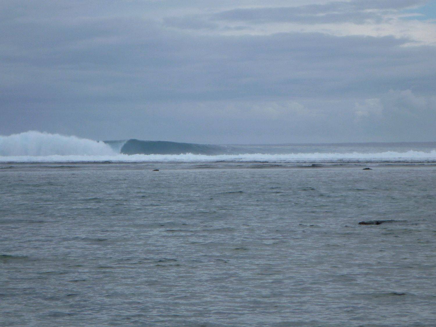 P1000026