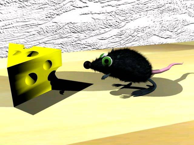 maus
