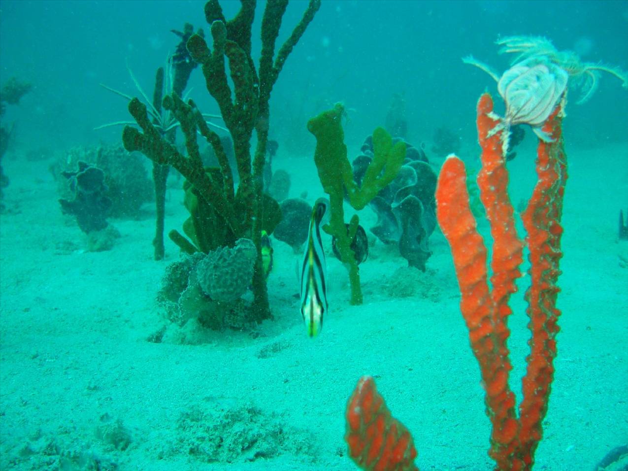 P4230006