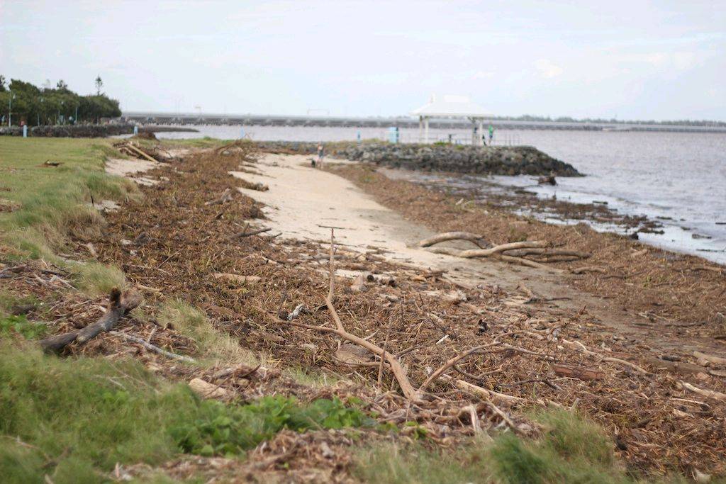 Debris at Brighton