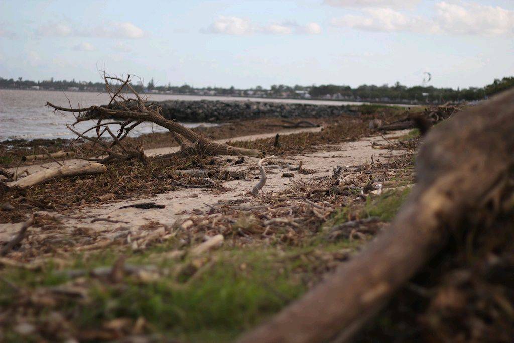 Debris at Brighton