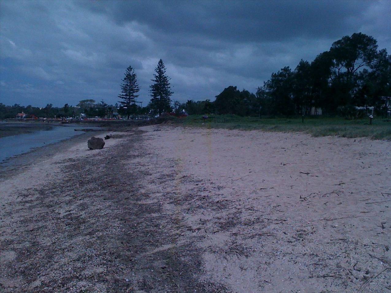 Sandgate Beach Clean up after flood