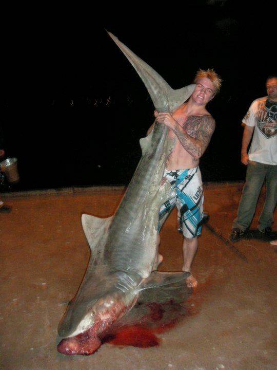 SHARK