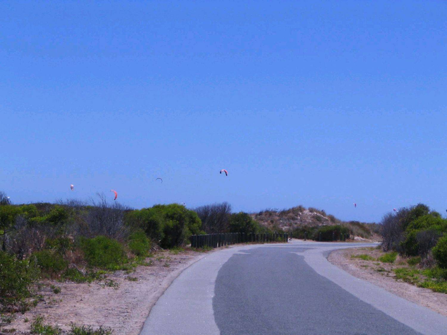 Kites at woodies
