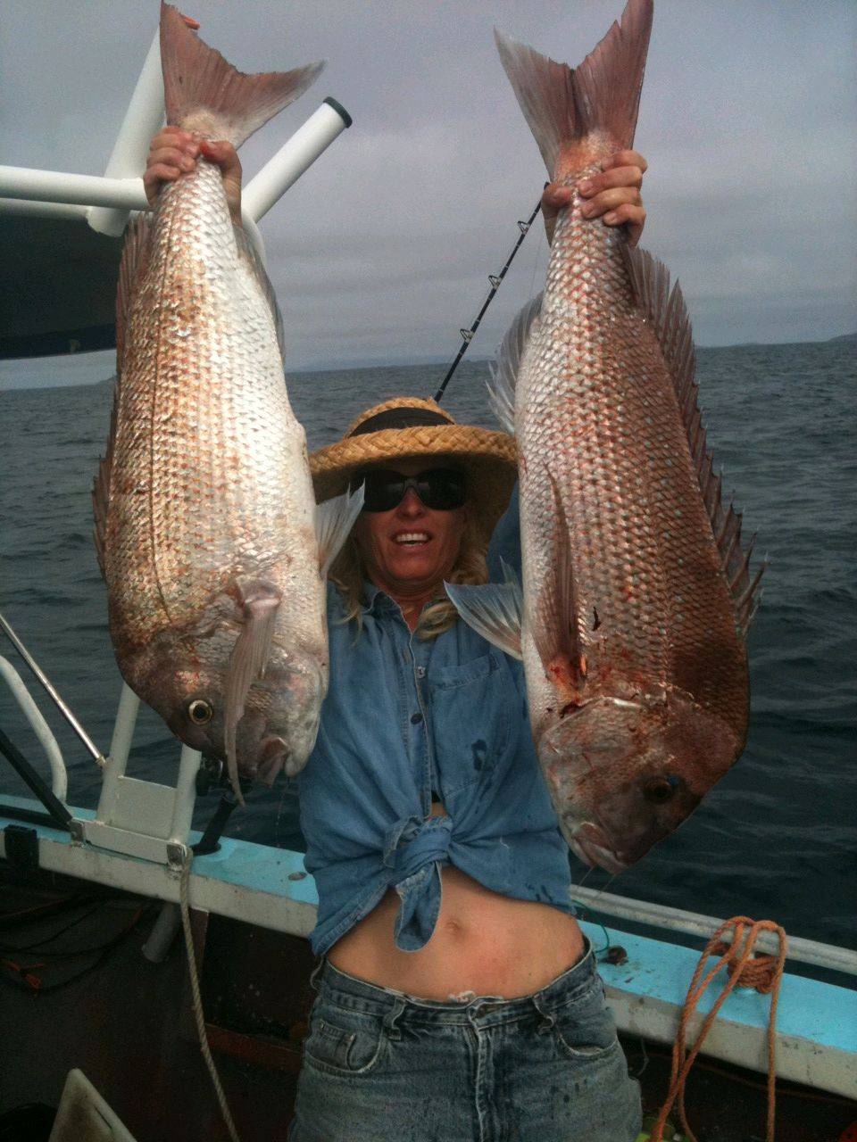taniafish