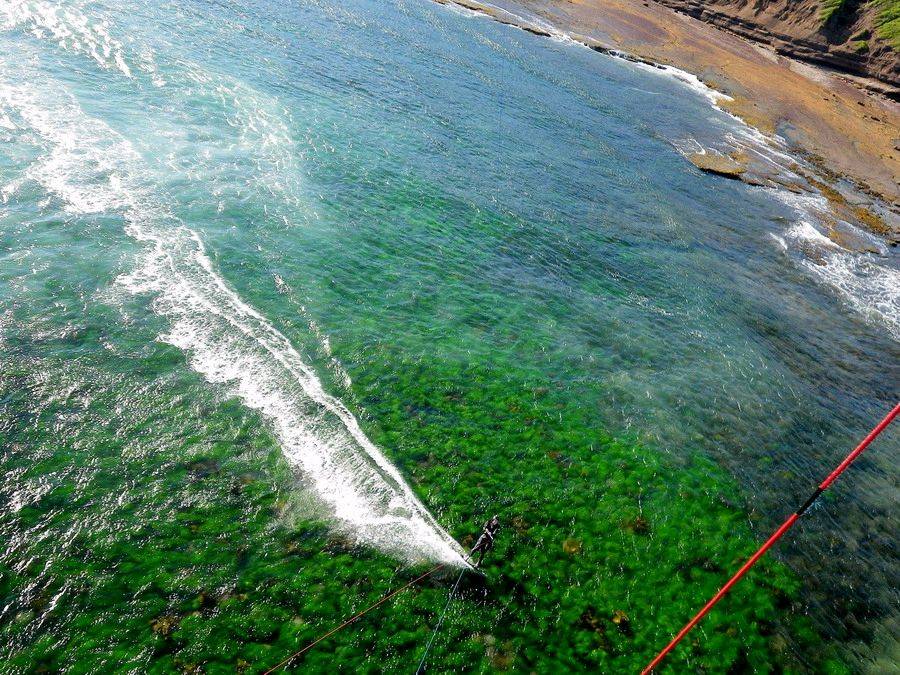 Sydney green reef