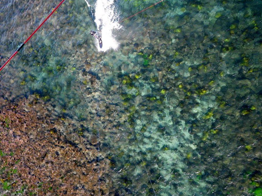 Sydney green reef