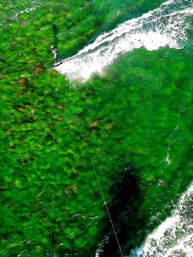 Sydney green reef