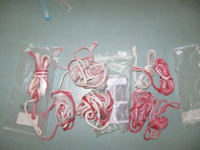 Bridles