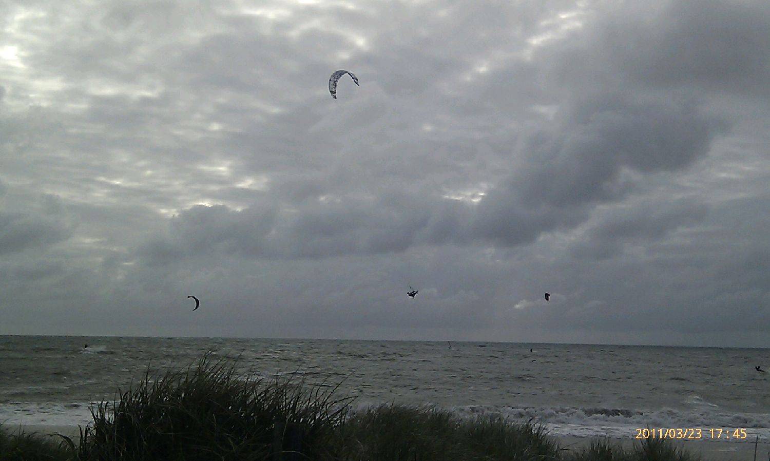 Seacliff6