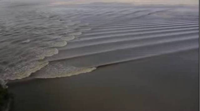 wave1