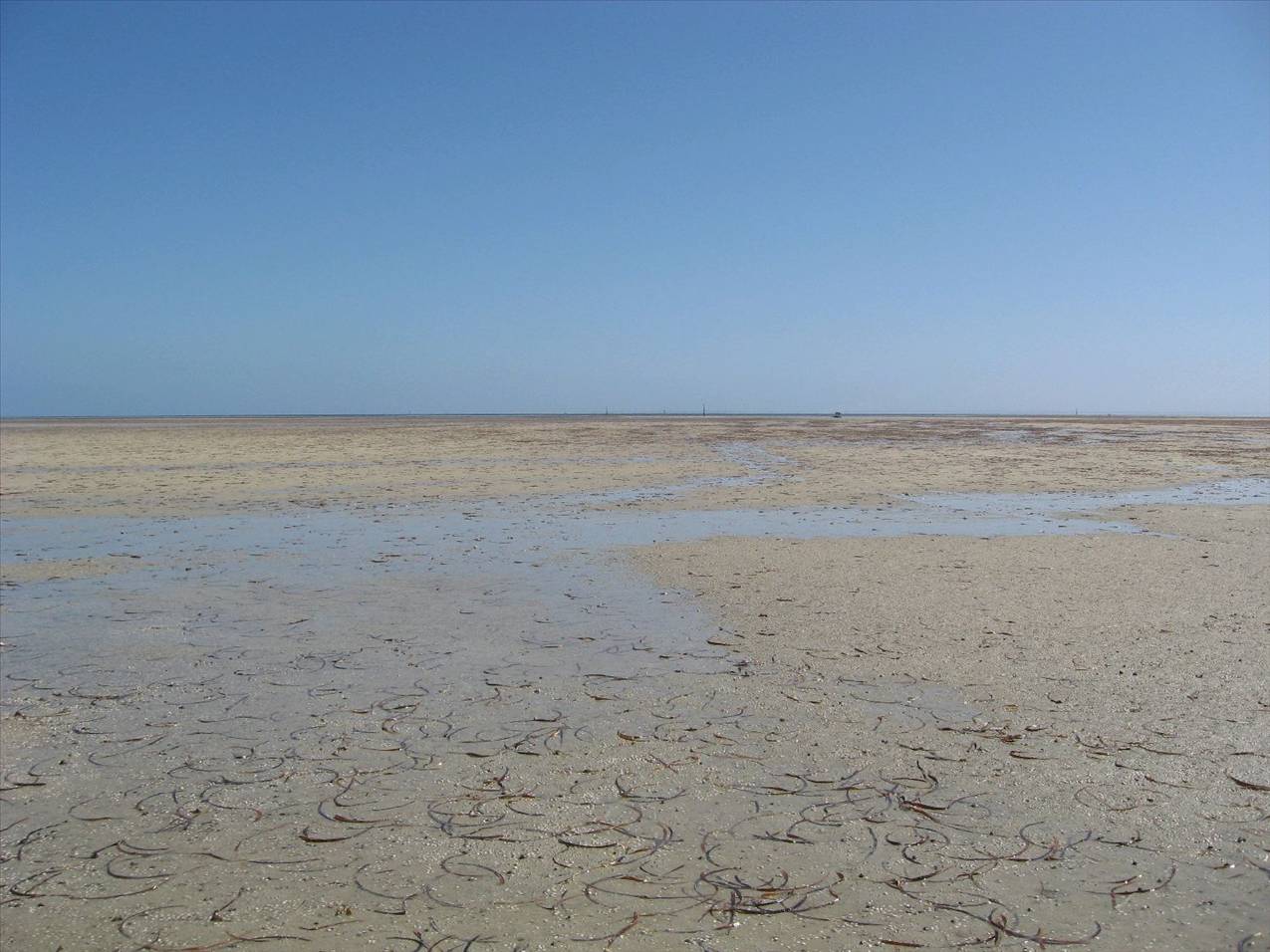 Parham at low tide