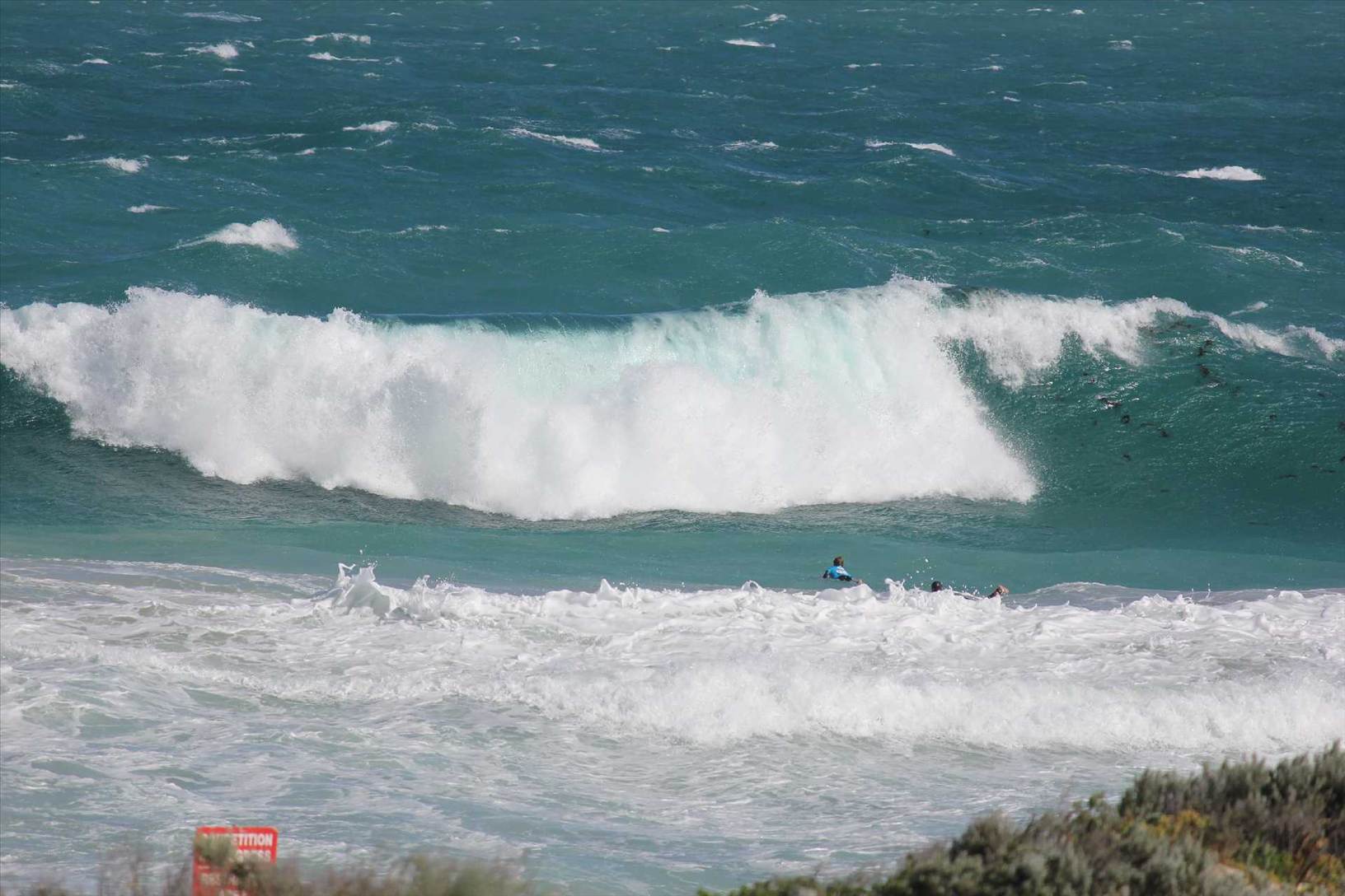 triggs 20kn gusty sw